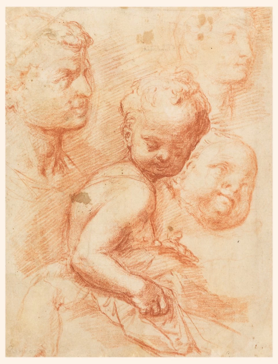 Studio di teste - Smithsonian Institution
